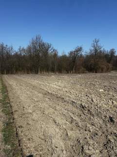 Działka budowlana na sprzedaż, 6400 m2, Szczucin