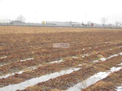 Magazyn do wynajęcia, 1000 m2, Małopole