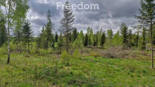 Malownicza działka 750m od jez Narie Warmia Mazury