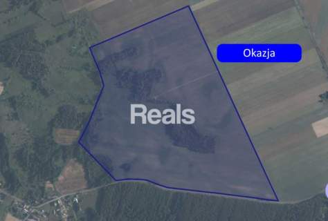 Duża działka 51 ha z potencjałem inwestycyjnym