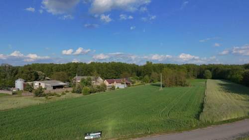 Na sprzedaż działka 59 ar Józefowo k Słupcy