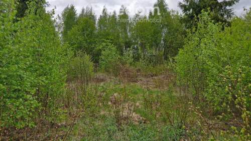 Twoje miejsce ciszy 750m od jeziora Warmia Mazury