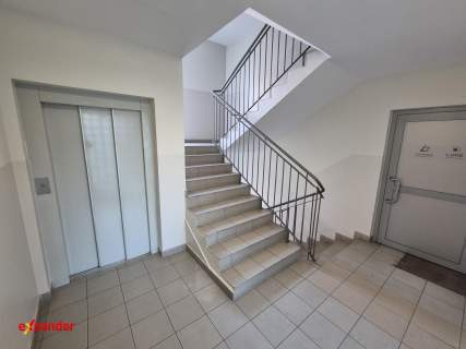Lokal biurowy nad Starą Odrą przy Centrum Biznesu