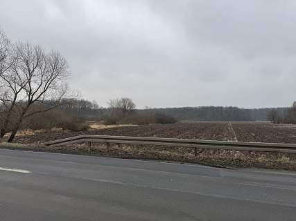 Syndyk sprzeda 1/2 udziału w prawie własności nieruchomości