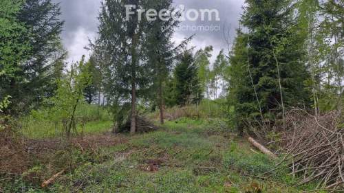 Twoje miejsce ciszy 750m od jeziora Warmia Mazury