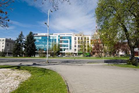 Biuro do wynajęcia, 171 m2, Kielce
