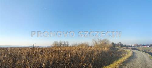 Lubczyna działka nad jeziorem sprzedaż
