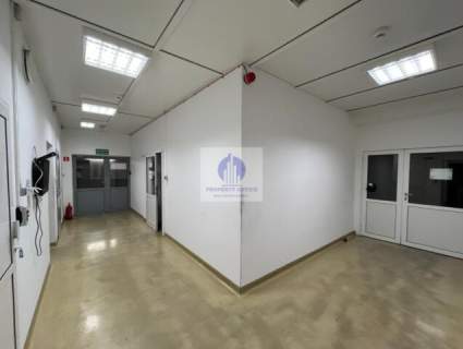 Bielany lokal na magazyn/produkcję 319,53m2 do wynajęcia