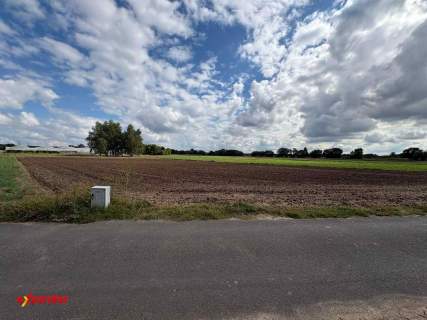 Działka rolna o pow. 4180 m2, Rajsków Kalisz