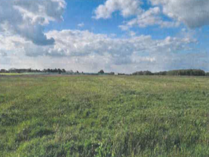 Sprzedaż nieruchomości Brzozówka 2,76 ha
