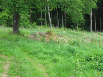 Działka budowlana/usługowa w zaciszu lasu 3350m2