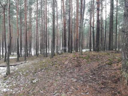 Działka leśna na sprzedaż, 2492 m2, Warszawa