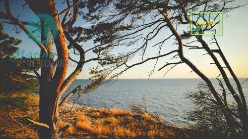 Nadmorski apartament 250 metrów od plaży
