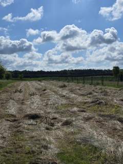 Działka budowlana 1300 m2 Dobrzejów