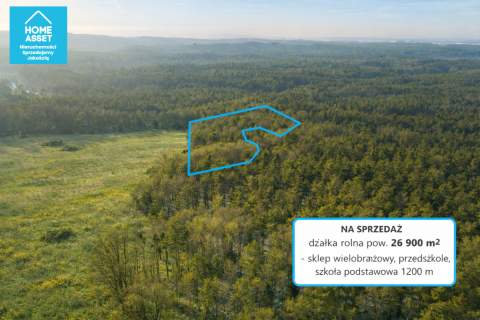 Działka rolna z lasem 2,69 ha Bieszkowice