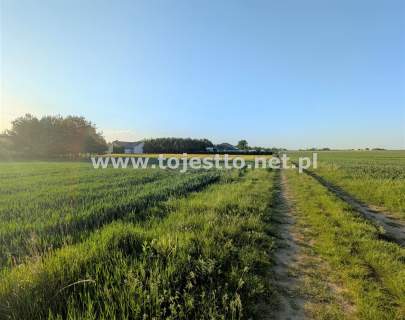 GRÓDEK, działka zabudowana 1700m2, dom budynki