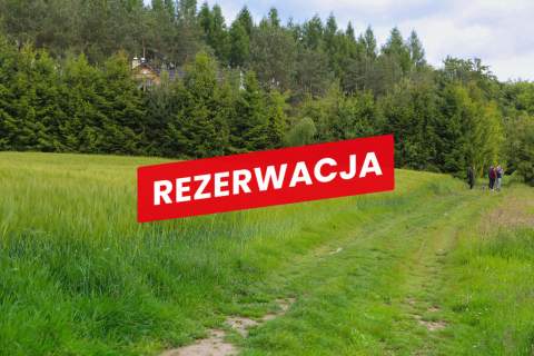 Na sprzedaż działka 79 arów- Domosławice