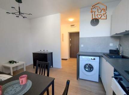 Kawalerka pet-friendly - Obrońców Westerplatte 3