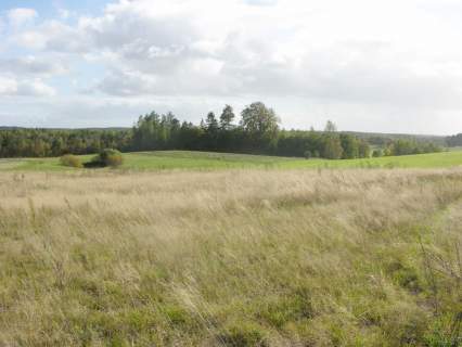 Działka z WZ, 148zł/m2, Szemudzka Huta
