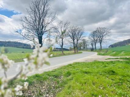 337m w sercu Kotliny Kłodzkiej duża działka