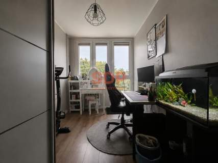 Dąbrowa 3 pokoje z balkonem