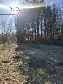 Działka budowlana - las, cisza, natura