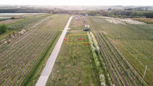 Cisza, natura, sady działka gm. Biała Rawska