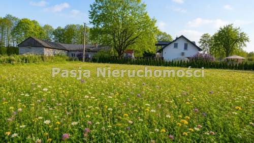 DZIAŁKA BLISKO PŁOCKA
