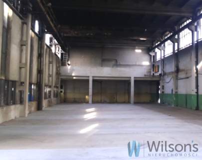 Cała Hala magazyn storage zadaszona Praga Północ