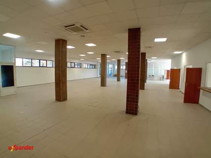 Lokal usługowy do wynajęcia, 540m2, Rzeszów ul. Przemysłowa