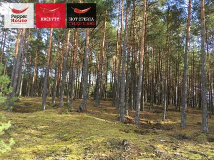Działka z warunkami zabudowy- dom jednorodzinny