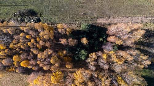 Działka budowlana w Kaleń Towarzystwo