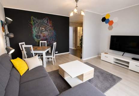 Mieszkanie do wynajęcia, 53 m2, Łódź