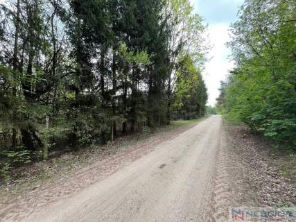 Klimatyczne siedlisko 2,2 ha z własnym lasem