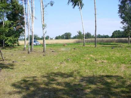 Działka na sprzedaż, 28880 m2, Świercze