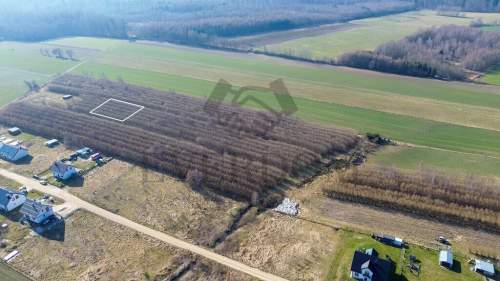 Działka w Darzlubiu 6km od Pucka media WZ 1040 m2