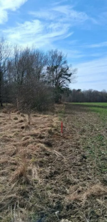 6,75 ha z WZ na 20 domów 5 km od morza Charnowo/Ustka