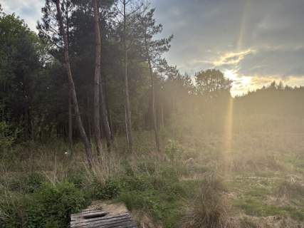 Działka z domem letnim i dużą działką leśną
