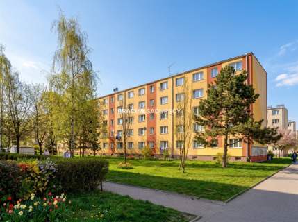 2 pok. Zielona okolica Piwnica