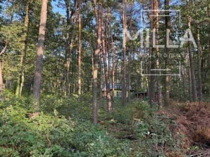 Sokolniki Las-cisza,zieleń,gotowa działka pod dom.
