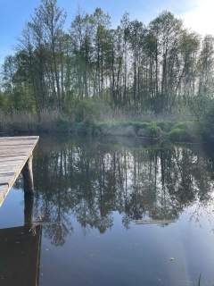 Działka 2800 m2 z WZ, prądem, wodą, stawem, dojazd asfaltowy