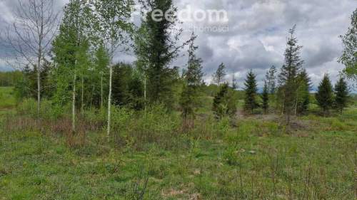 Malownicza działka 750m od jez Narie Warmia Mazury