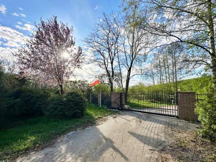 Działka 6000m2 Niczym Prywatny Park