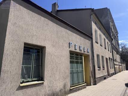 Dom na sprzedaż, 300 m2, Gniezno