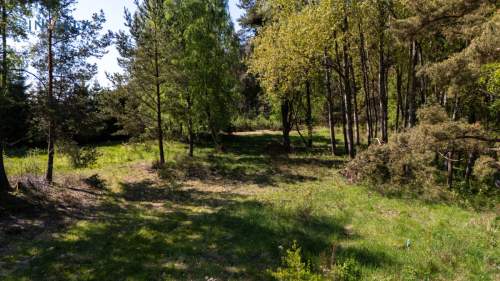 Działka budowlana w otoczeniu natury