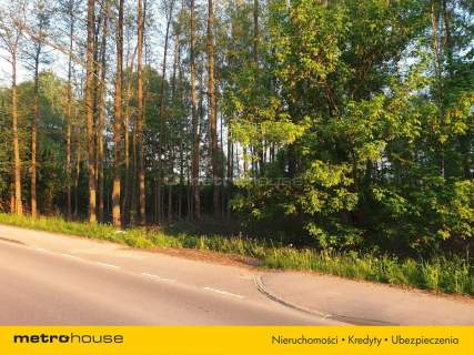 Książenice Działka leśna 4000m2 pod rezydencję