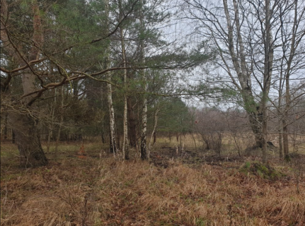 6,75 ha z WZ na 20 domów 5 km od morza Charnowo/Ustka