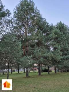 Dom Letniskowy całoroczny 75 m2
