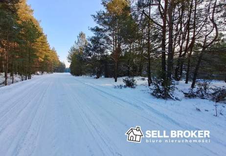 Działka rolna 8 300 - 19 500 m2 w otoczeniu lasu