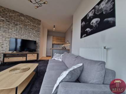 Na wynajem komfortowy apartament w sercu miasta.